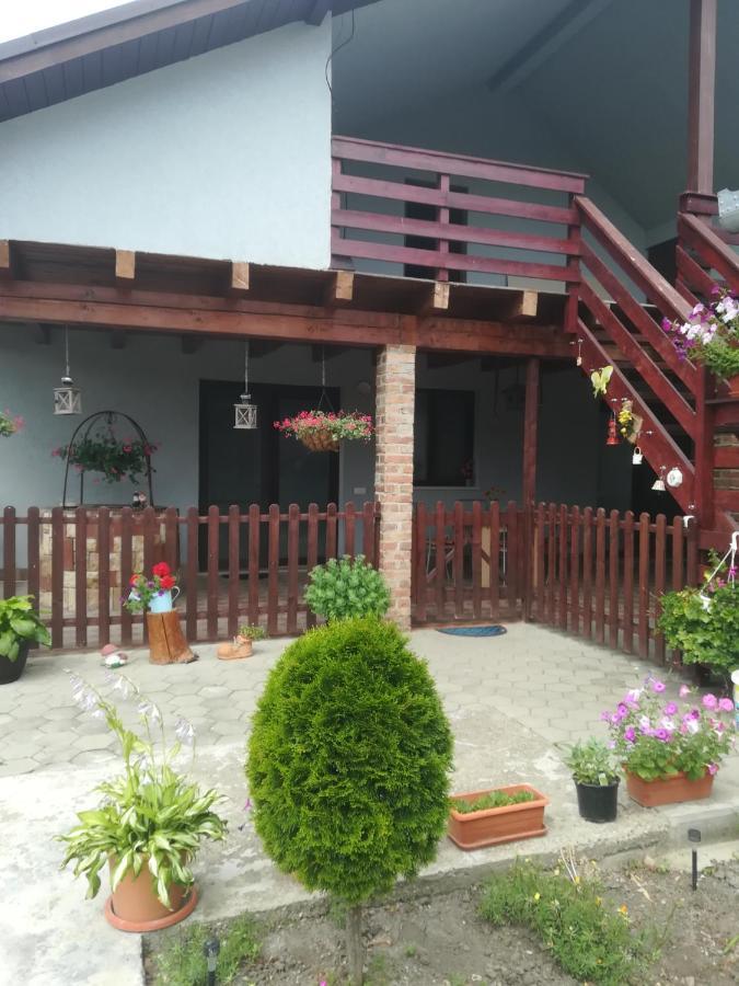 Casa Ricciotti Villa Tritenii de Jos Exteriör bild