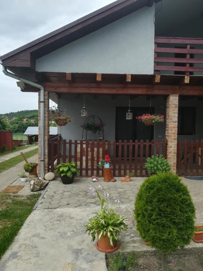Casa Ricciotti Villa Tritenii de Jos Exteriör bild
