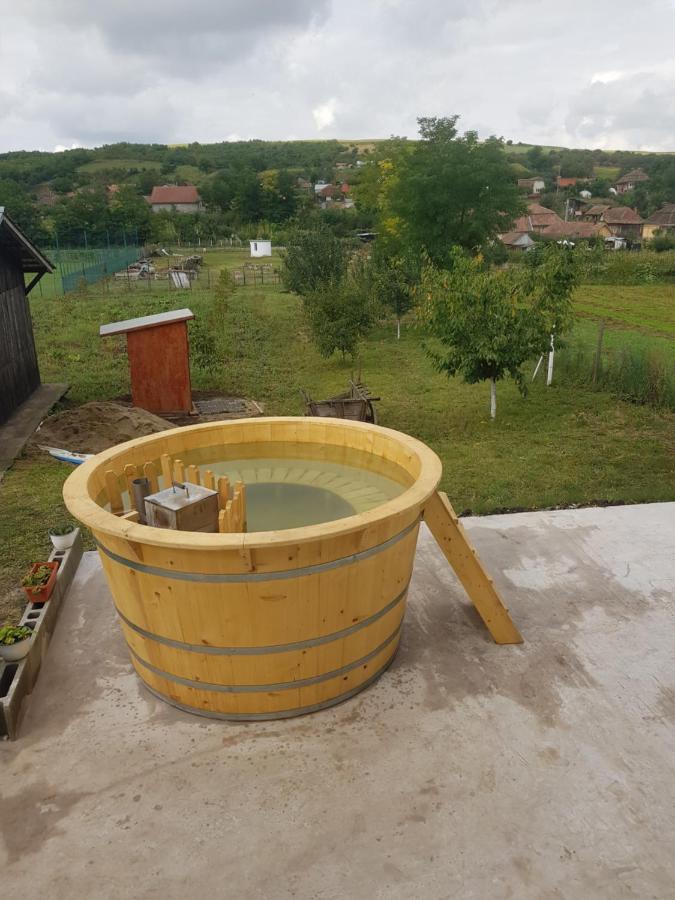 Casa Ricciotti Villa Tritenii de Jos Exteriör bild